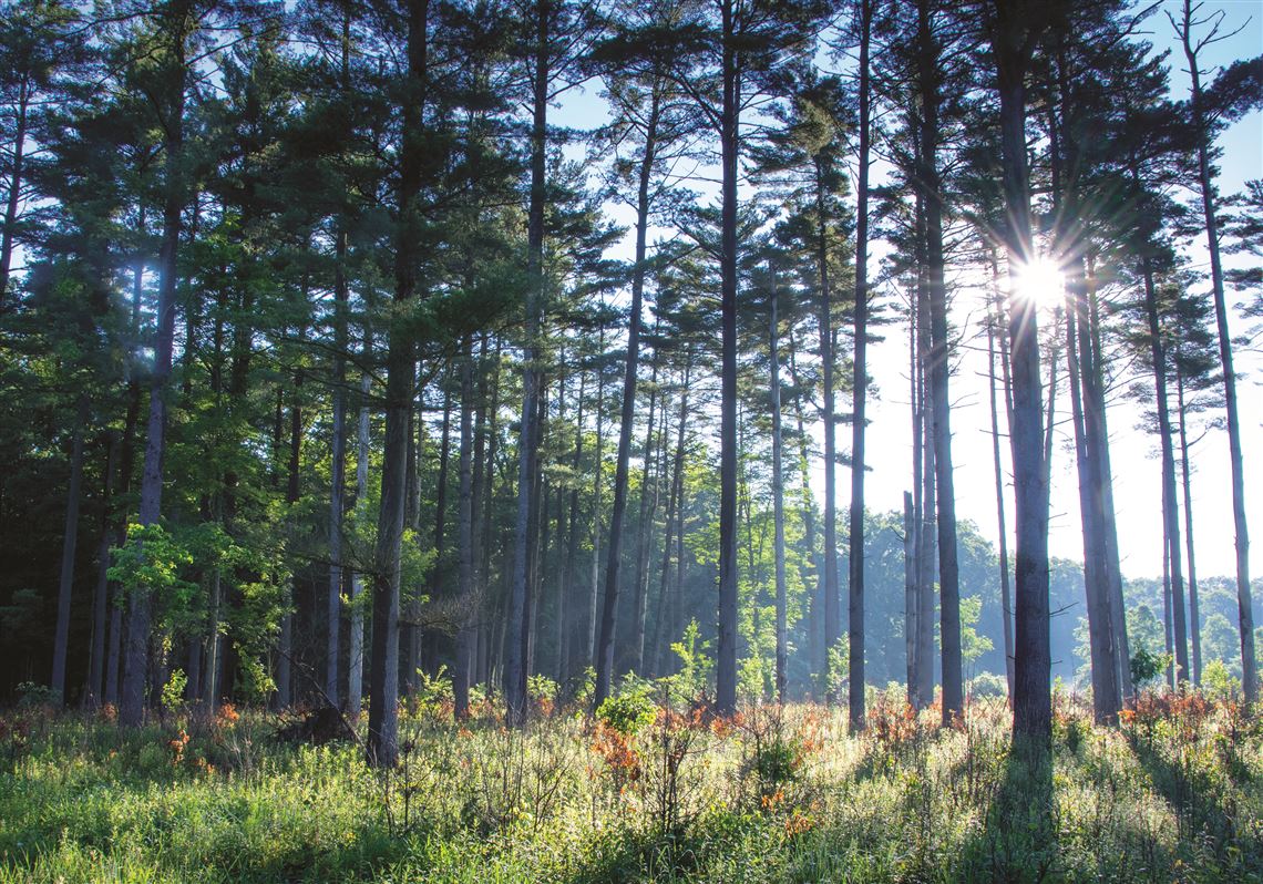 Oak Openings Metro Park