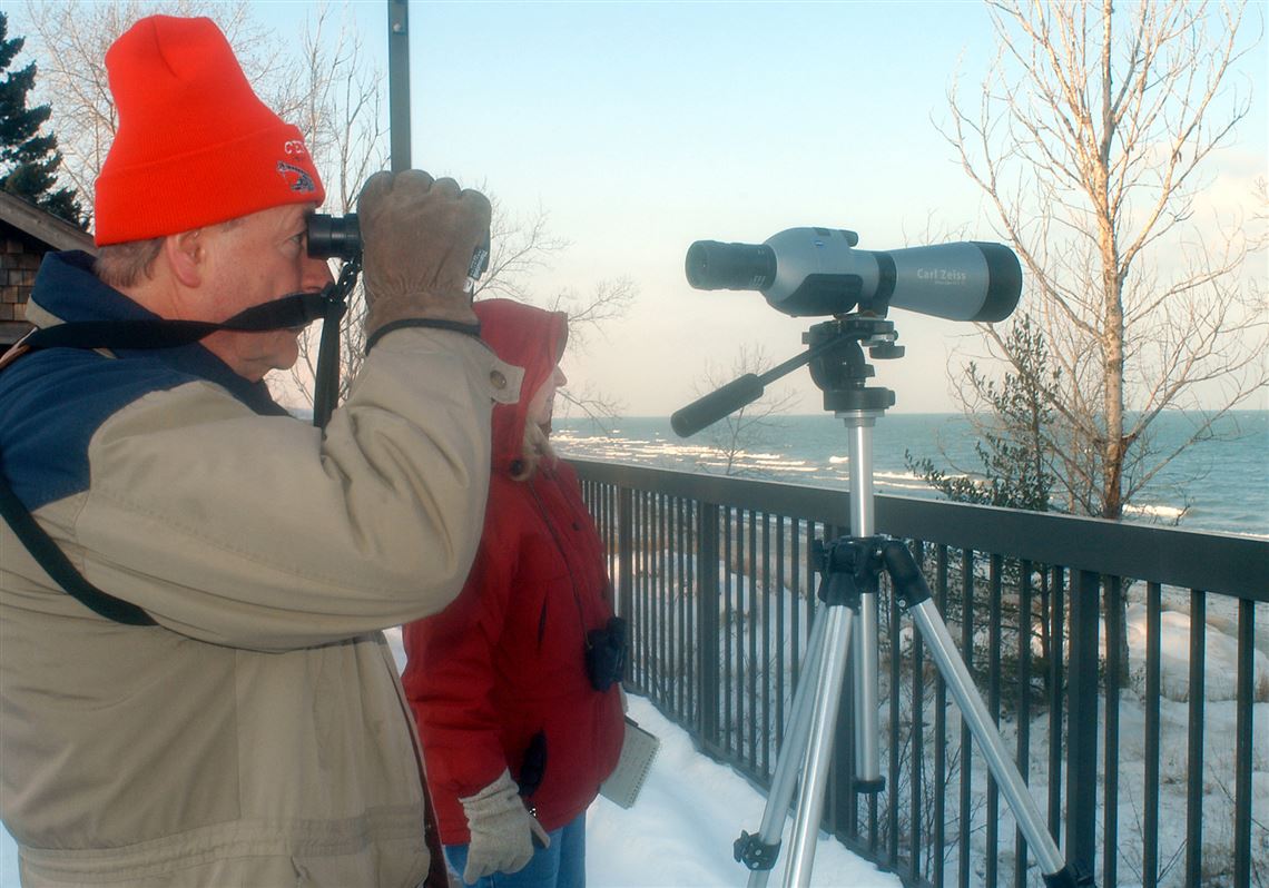 Outdoors Backyard Bird Count Provides Essential Science The Blade