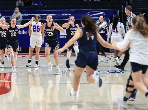 Photo Gallery: Napoleon girls win Division II state semifinal | The Blade
