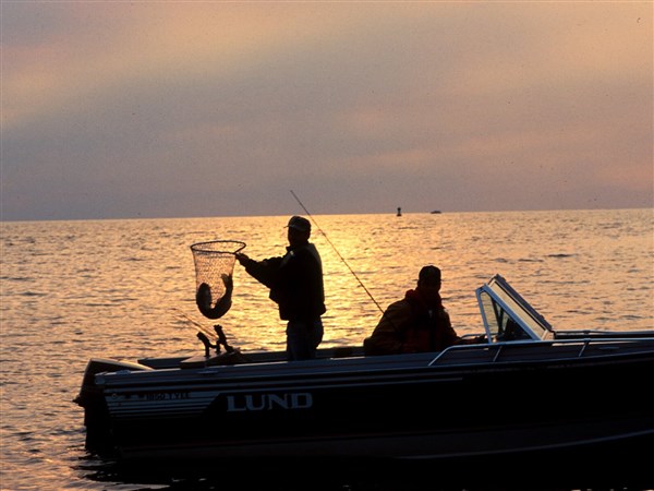 23++ Lake erie fishing camps Best