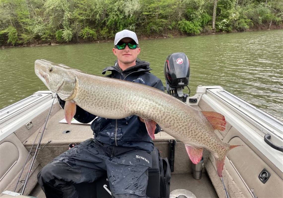 Blade Fishing Report Record Muskie Swims Again The Blade