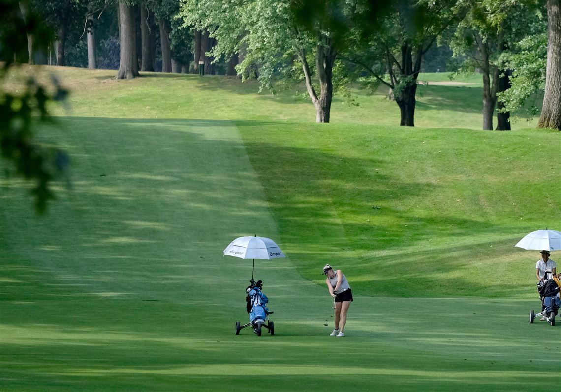 AJGA Dana event at Sylvania Country Club named tournament of the year | The  Blade