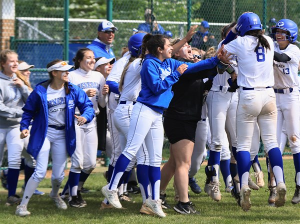 Anthony Wayne softball team headed to state tournament | The Blade