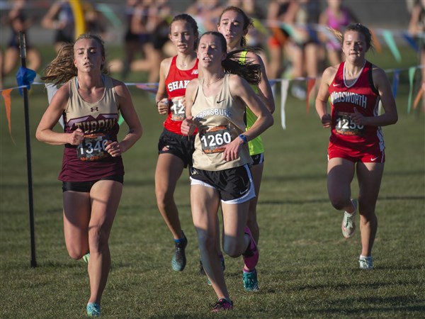 Perrysburg girls cross country third at season-opening meet | The Blade