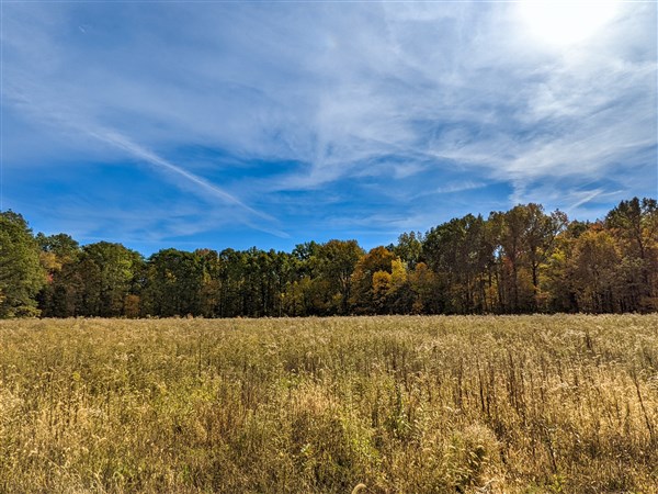 Outdoors: Ohio's natural areas expanding | The Blade