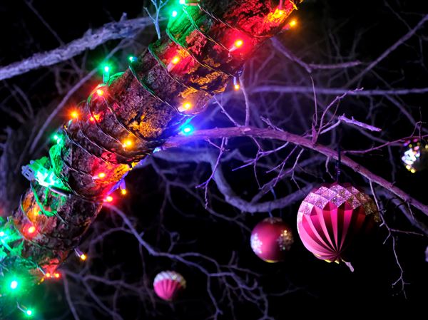 Holiday events, tree lighting set for Ottawa Park