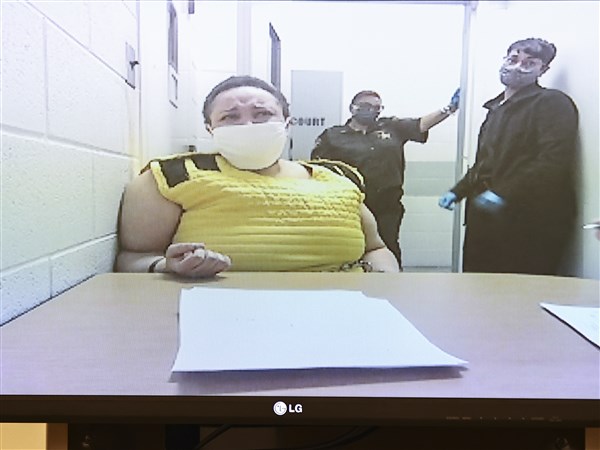 Mother Accused Of Stabbing Children Pleads Insanity | The Blade