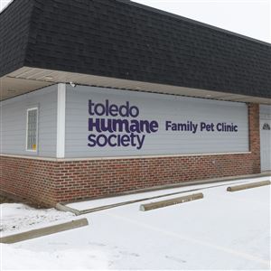 The Toledo Area Humane Societyu2019s new Family Pet Clinic Clinic, under development on East Broadway Street, Feb. 10 in East Toledo. (THE BLADE/DAVE ZAPOTOSKY)