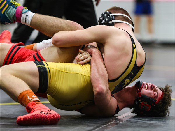 Pair of Bowling Green wrestlers win weight classes at D-II district wrestling The Blade