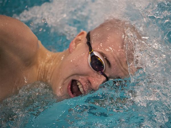 Meet the Toledo area's Division II boys swimming and diving state meet qualifiers