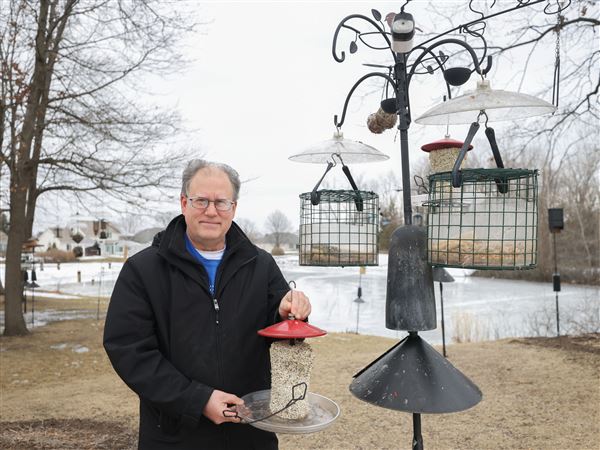 Outdoors: Holland man thrives on steady diet of feeding the birds