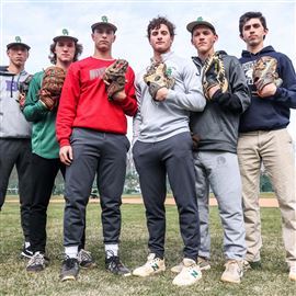 NLL baseball preview: Perrysburg favored in tough race