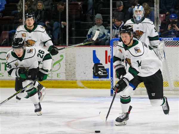 Meet the Utah Grizzlies: 6 things to know about the Walleye's next ...