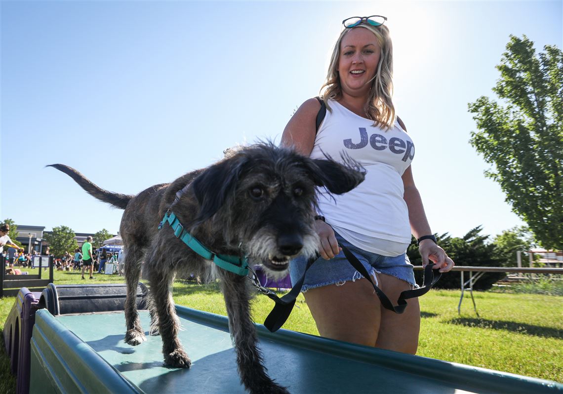 Tigers host Bark in the Park