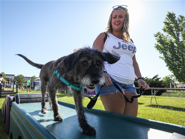 Bark in the Park - Michigan Humane