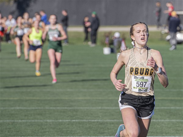 Defending state champion Perrysburg girls cross country primed for ...