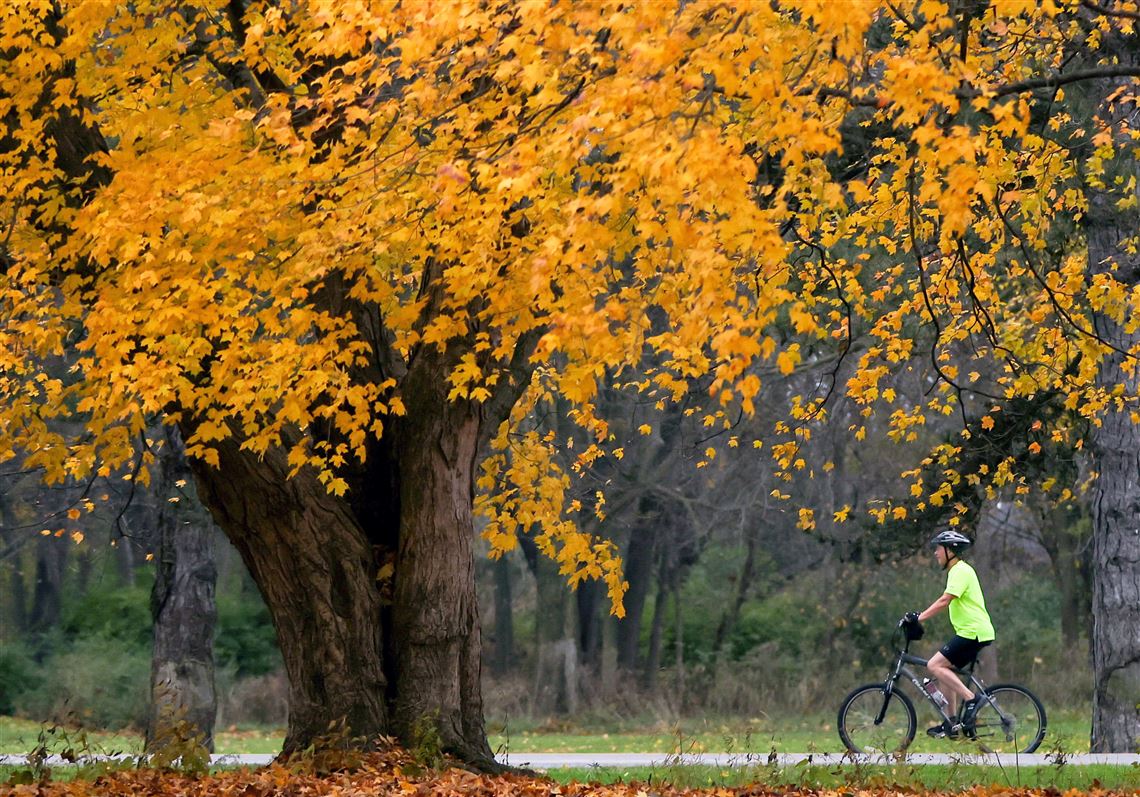 The difference between 'fall' and 'autumn' explained