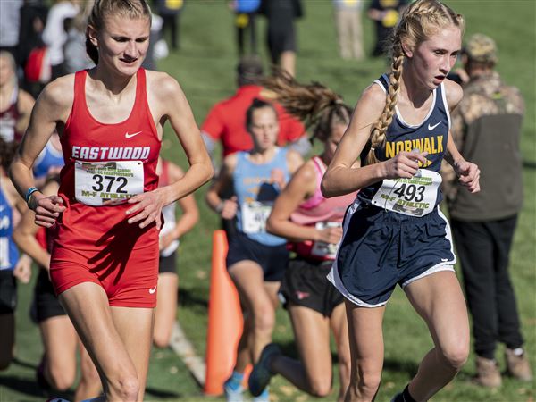 Cross country state finals: Meet the Toledo area's 2022 Division II qualifiers