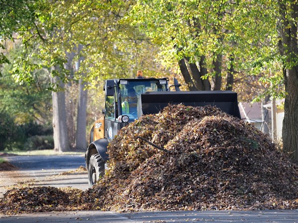 Toledo Leaf Collection Ends But Parks Still Accepting Them The Blade