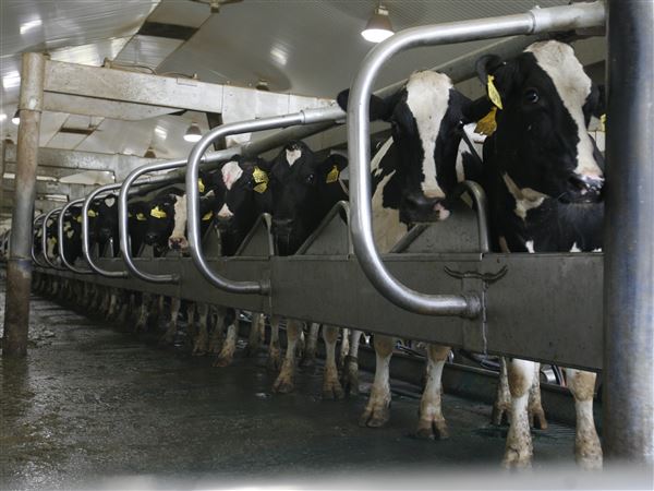 Michigan Supreme Court upholds state agency's authority to pass stronger CAFO rules