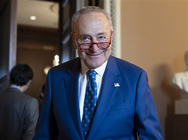 Schumer Reelected Senate Leader After Dems Expand Majority The Blade 6329