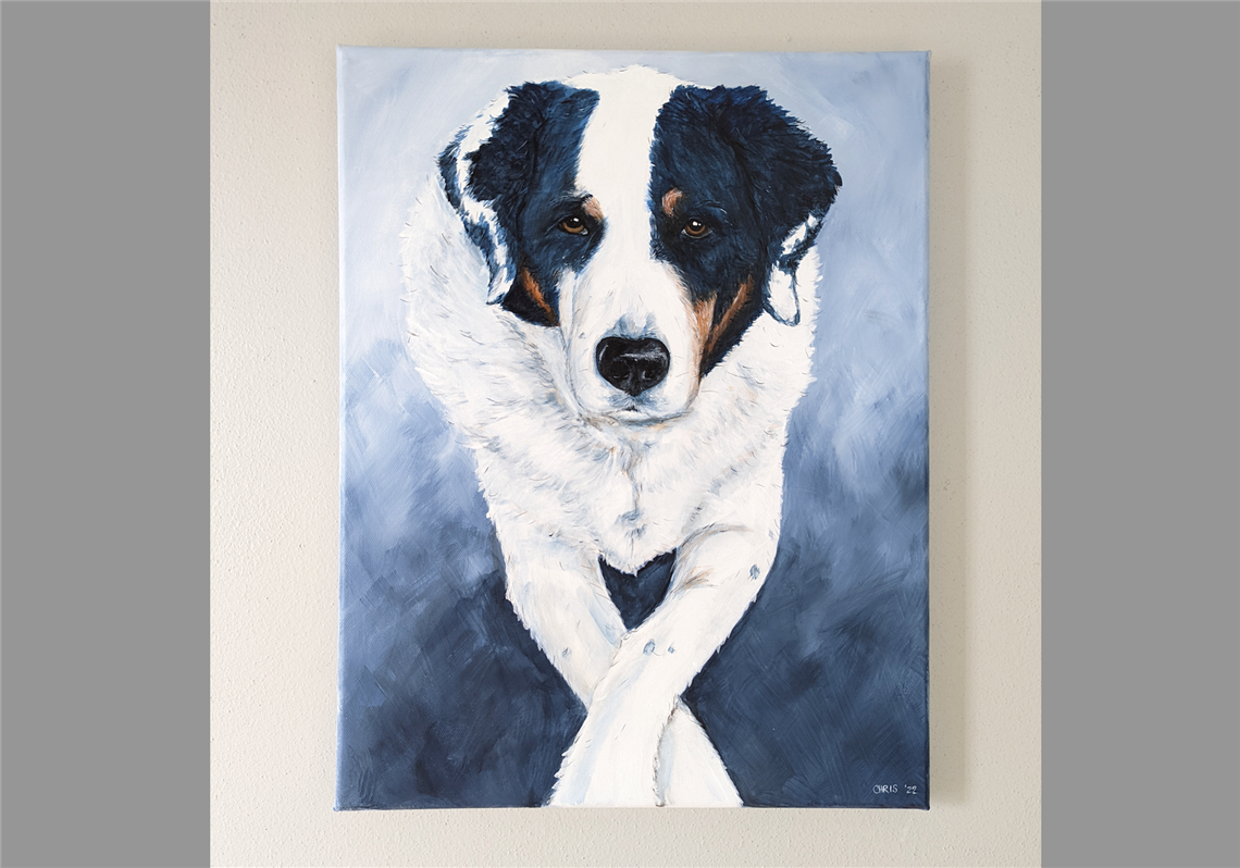 Toledo artist finds inspiration in pet portraits | The Blade