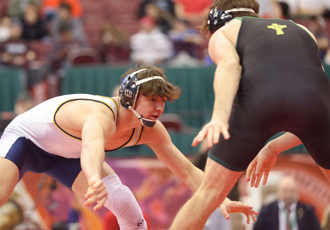 Toledo area wrestlers in state rankings entering boys sectionals