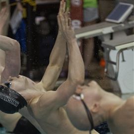 Meet the Toledo area's 2023 diving state meet qualifiers