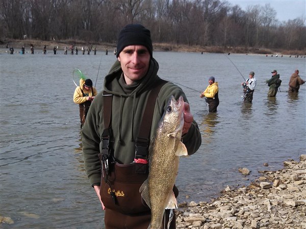 Maumee river report -heading into a great weekend-13 april 2023