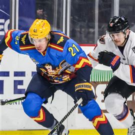 Reading Royals Lion's Den