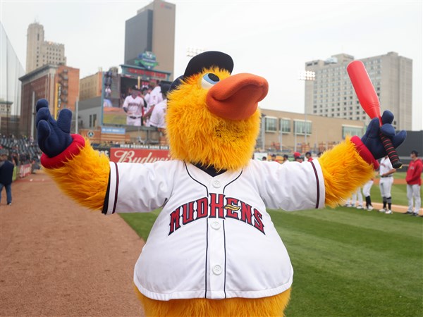 Your hair w/o a haircut in 6 weeks: - Rochester Red Wings