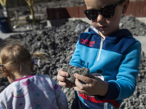 Fossil Park shows off new improvements on opening day