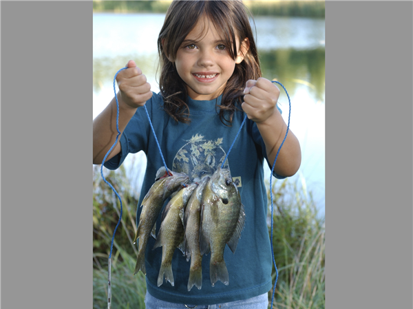 Bluegill Paradise Package