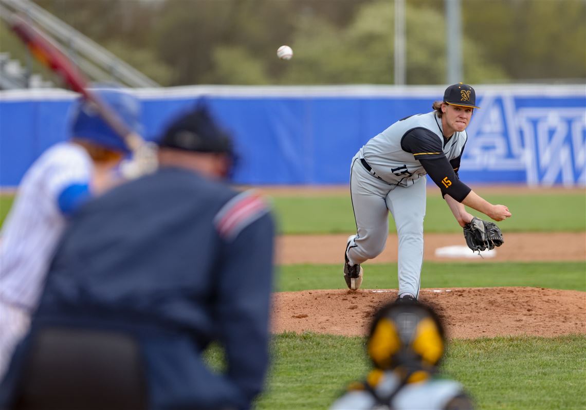 NLL baseball preview: Perrysburg favored in tough race