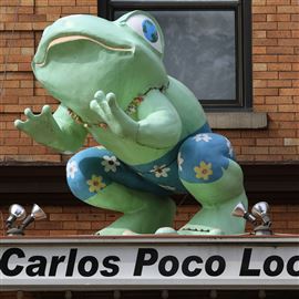 Frog Around Town: Pedagogic pollywogs reunited after theft from Toledo  business