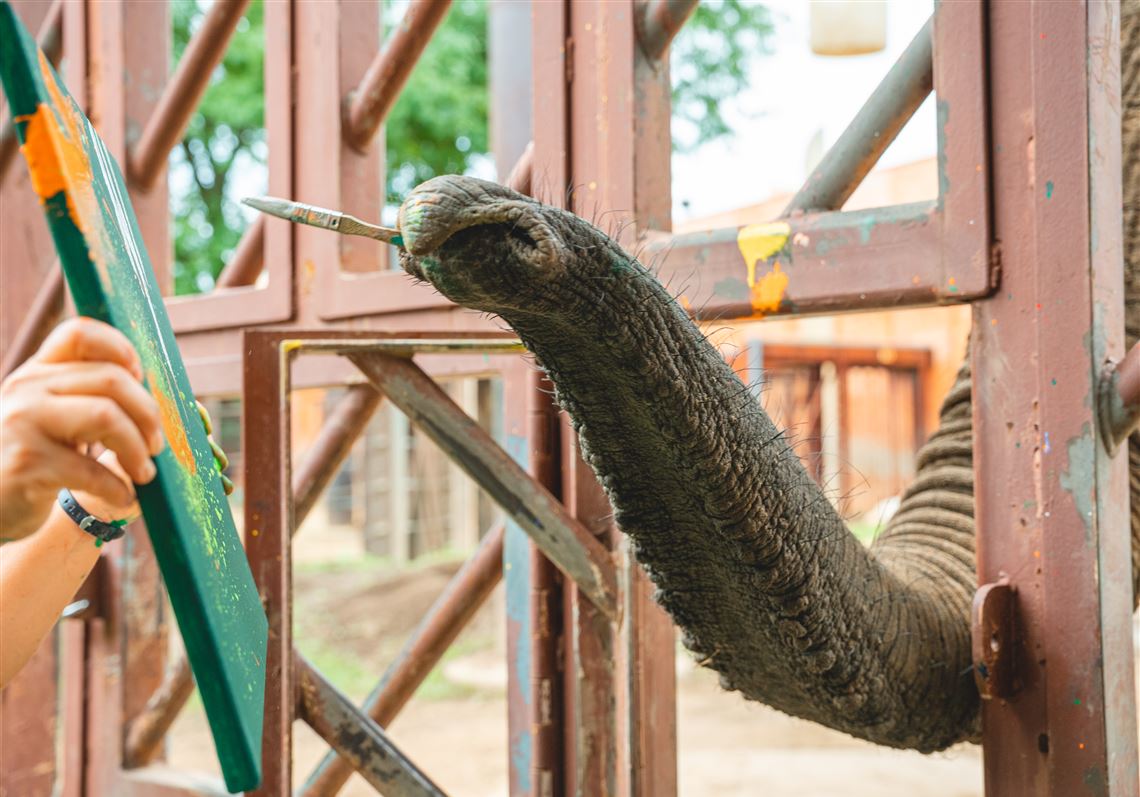 The Toledo Zoo (and its animals) get Wild About Art | The Blade