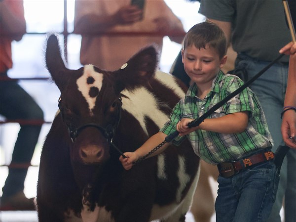 Photo Gallery: Monroe County Fair | The Blade