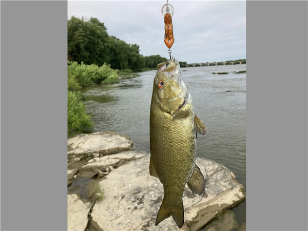 Maumee river report -heading into a great weekend-13 april 2023