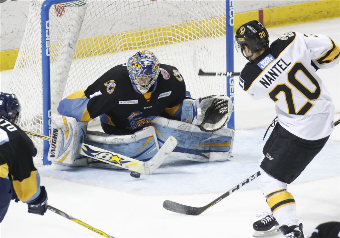 Game On: Colorado Eagles Set for 100% Capacity with New Season