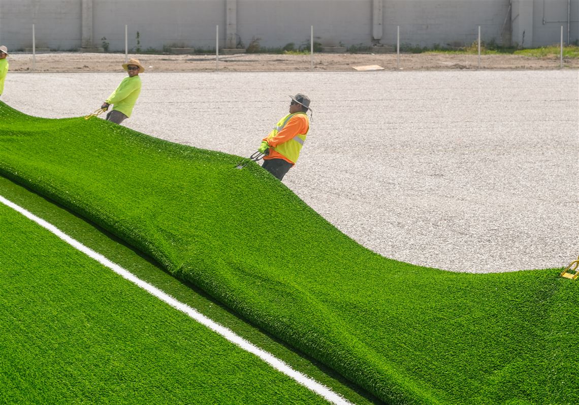 Natural Turf Field at University of Phoenix Stadium Home of the