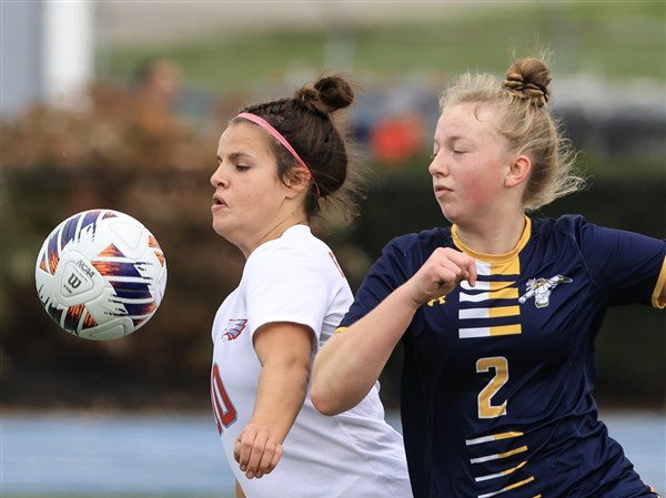 Eastwood girls soccer run ends against powerhouse Ottawa-Glandorf | The ...