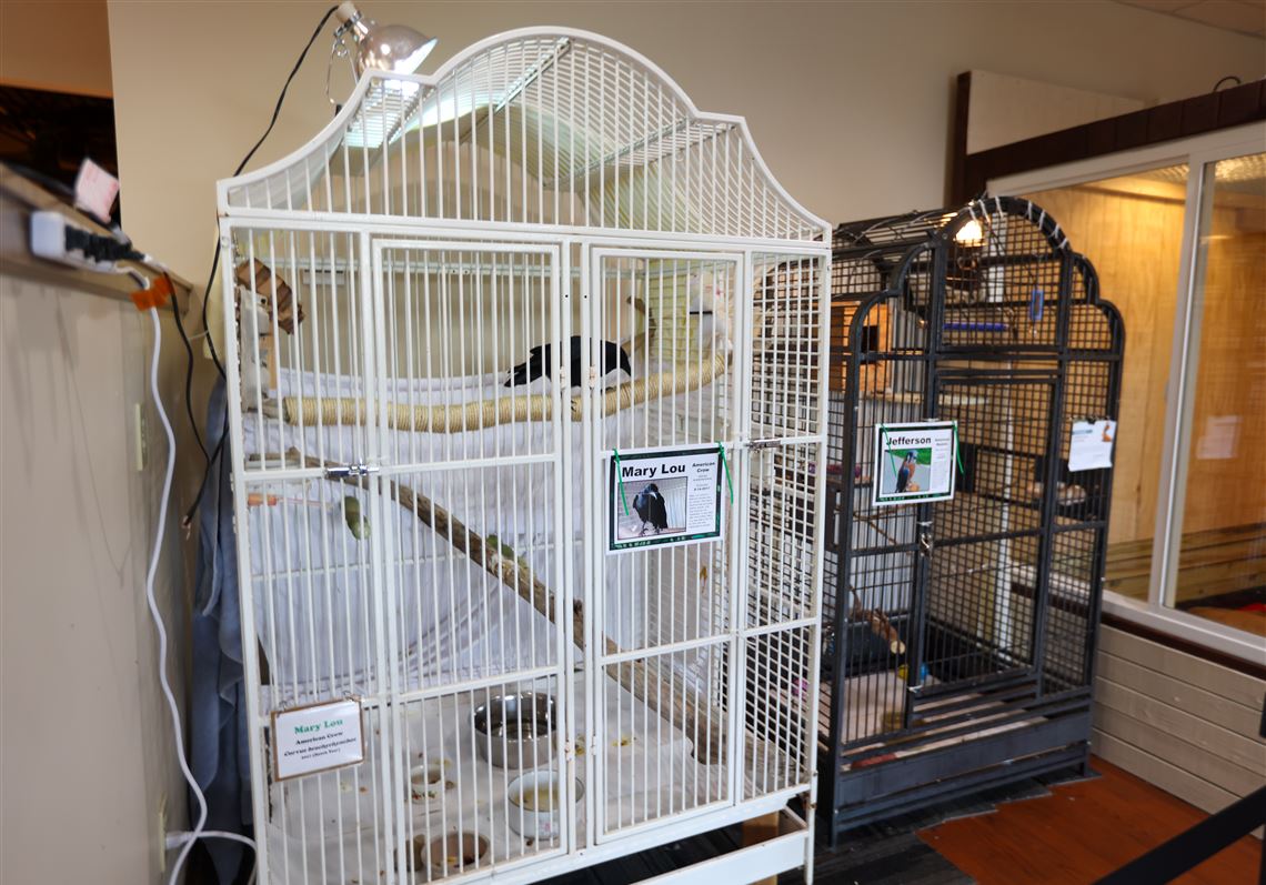 Wild kingdom Nature s Nursery offers look behind the scenes at