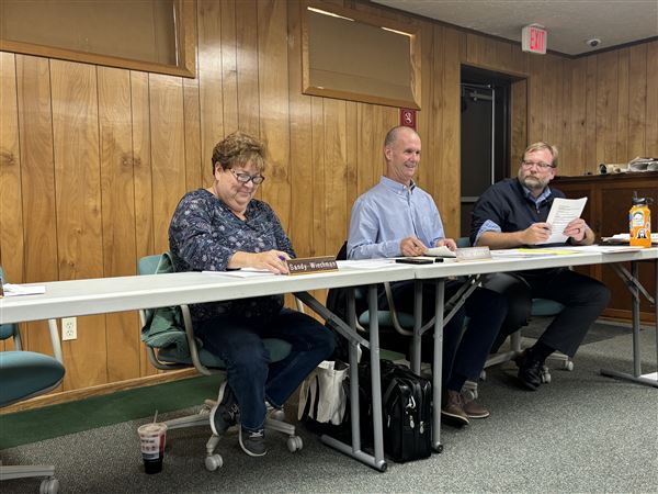 Park board puts $100,000 into Wood County communities