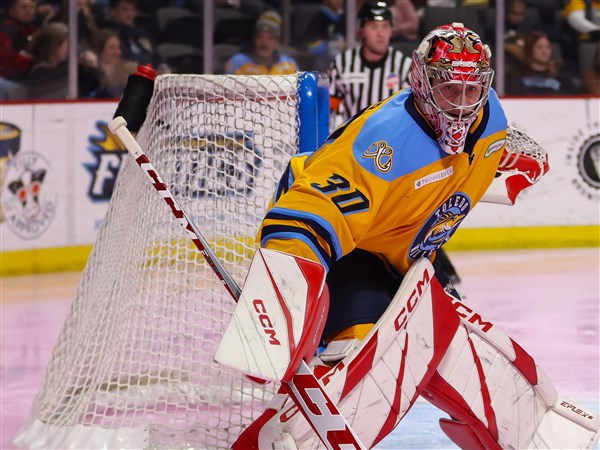 Walleye rookie Bednar earns goalie of the month award | The Blade