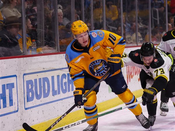 Toledo Walleye shuts out Greenville Swamp Rabbits on the road