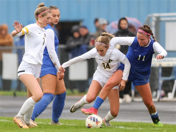 Where Toledo-area girls soccer teams are slotted in new 5-division alignment next fall