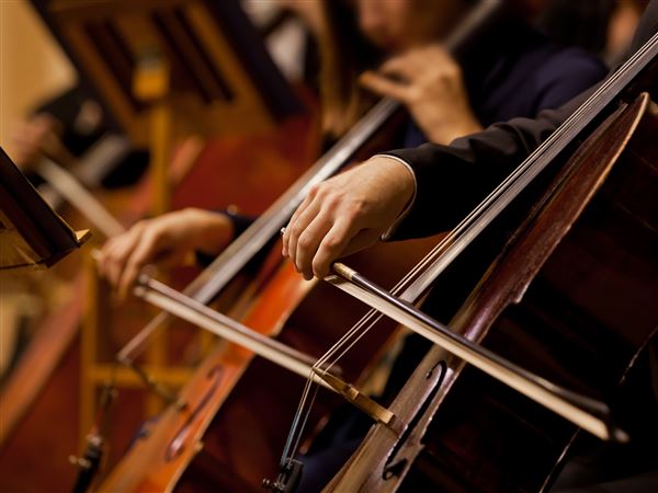 Sylvania orchestra to present Mother’s Day Tribute concert