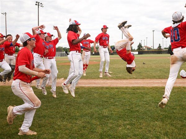 St. Francis baseball defeats Whitmer 9-1 for Division I district title ...