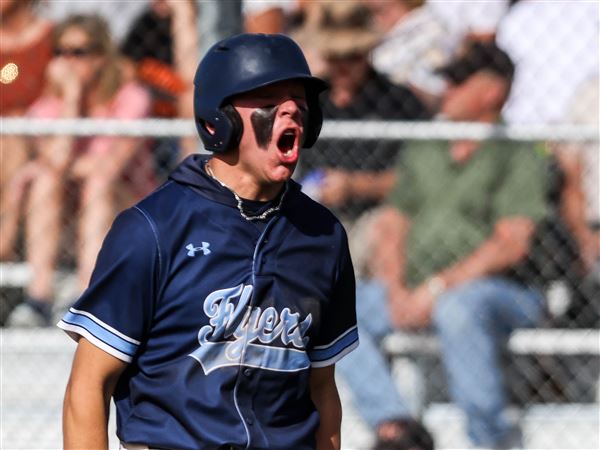 Lake baseball sinks Coldwater to win Division III regional title