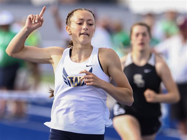 Division III track and field: Woodmore's Travis, Ottawa Hills' Nixon claim state titles